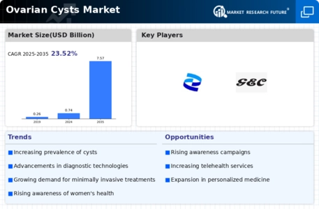 Ovarian Cysts Market Research Report – Forecast till 2034 Infographic