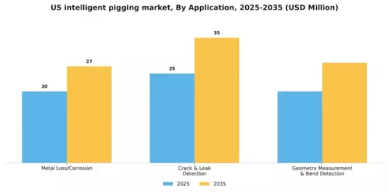 US Intelligent Pigging Market Segment Image 0