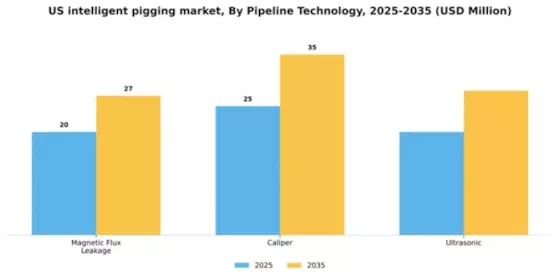 US Intelligent Pigging Market Segment Image 1