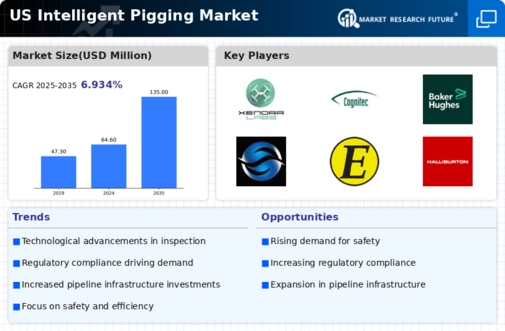 US Intelligent Pigging Market Infographic