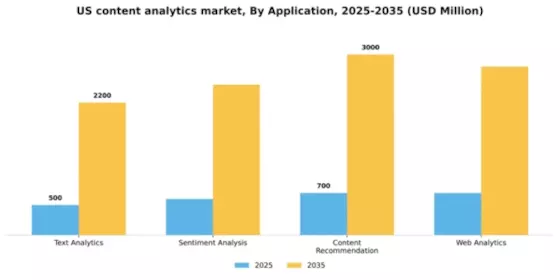 US Content Analytics Market Segment Image 0