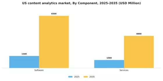 US Content Analytics Market Segment Image 1