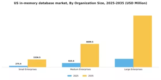 US In Memory Database Market Segment Image 3