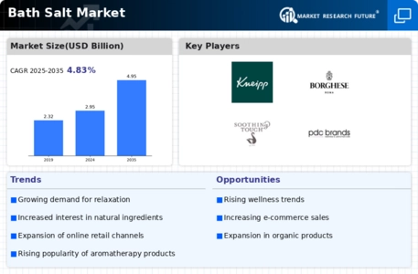Bath Salts Market Infographic