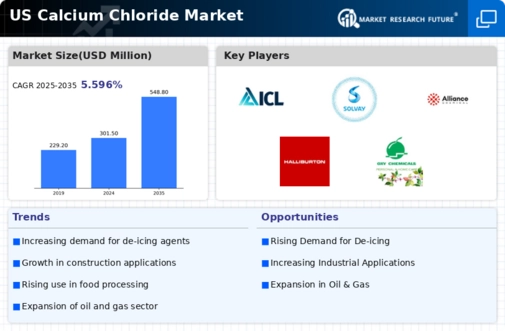 US Calcium Chloride Market Infographic