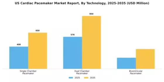US Cardiac Pacemaker Market Segment Image 3