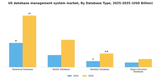 US Database Management System Market Segment Image 1