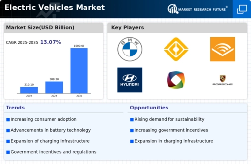 Electric Vehicles Market Infographic