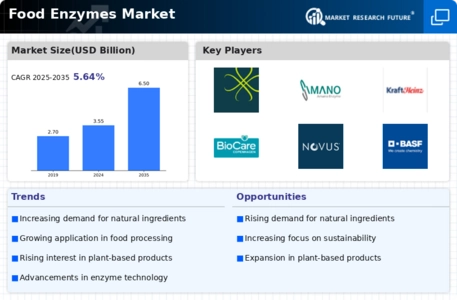 Global Food Enzymes Market Infographic