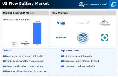 US Flow Battery Market Infographic