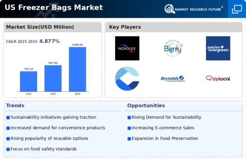 US Freezer Bags Market Infographic