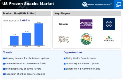 US Frozen Snacks Market Infographic