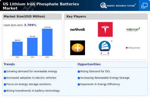 US Lithium Iron Phosphate Batteries Market Infographic