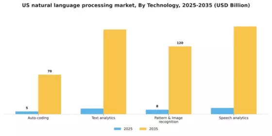 US Natural Language Processing Market Segment Image 2
