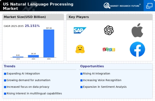 US Natural Language Processing Market Infographic