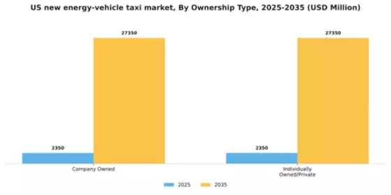 US New Energy Vehicle Taxi Market Segment Image 0