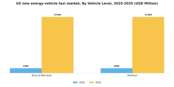 US New Energy Vehicle Taxi Market Segment Image 3