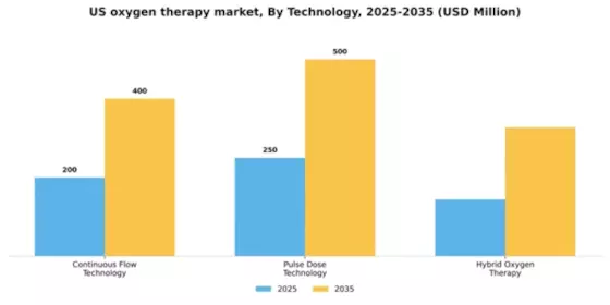 US Oxygen Therapy Device Market Segment Image 2