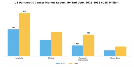US Pancreatic cancer Market Segment Image 1