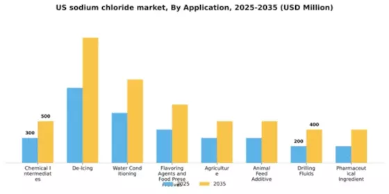US Sodium Chloride Market Segment Image 0