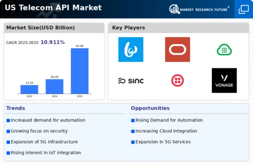 US Telecom API Market Infographic