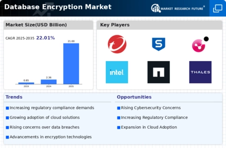 Database Encryption Market Infographic