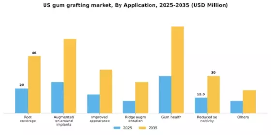US Gum Grafting Market Segment Image 0