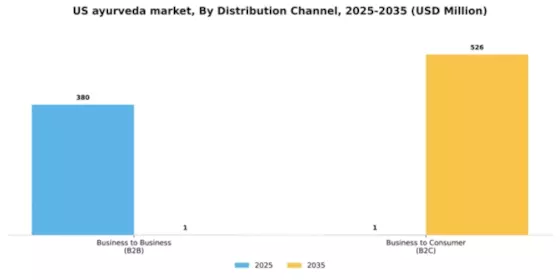 US Ayurveda Market Segment Image 1