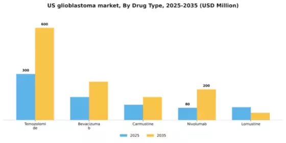 US Glioblastoma Market Segment Image 1