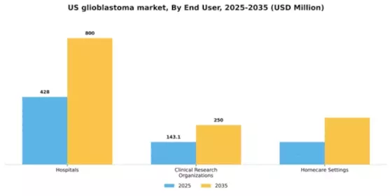 US Glioblastoma Market Segment Image 2