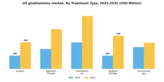 US Glioblastoma Market Segment Image 3