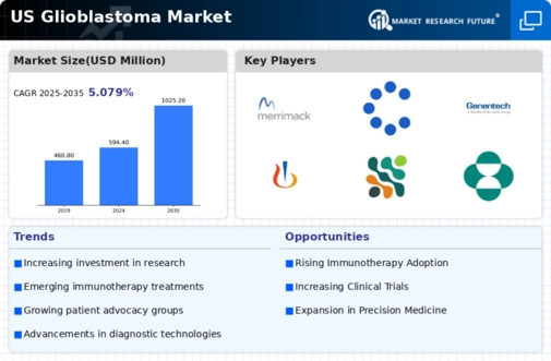 US Glioblastoma Market Infographic