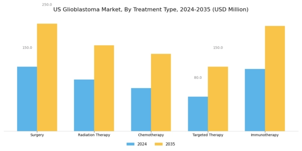 US Glioblastoma Market Segment Image 0