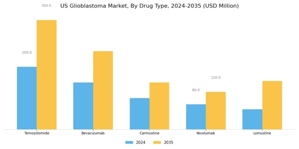 US Glioblastoma Market Segment Image 1