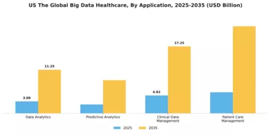 US Big Data Healthcare Market Segment Image 0
