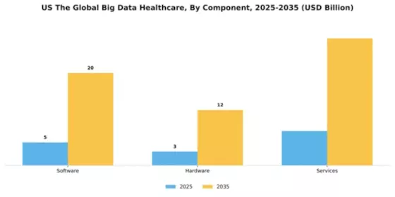 US Big Data Healthcare Market Segment Image 1