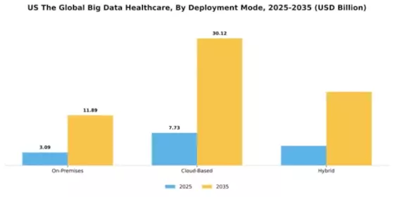 US Big Data Healthcare Market Segment Image 2