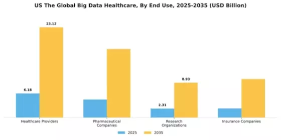 US Big Data Healthcare Market Segment Image 3