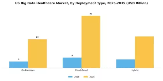 US Big Data Healthcare Market Segment Image 2