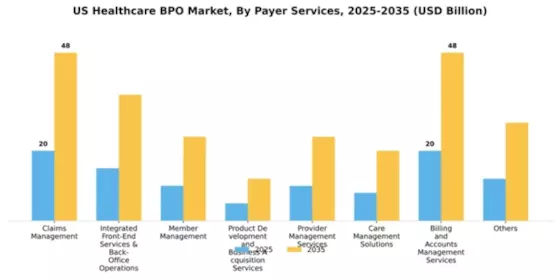 US Healthcare BPO Market Segment Image 2