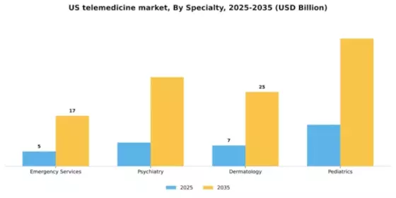 US Telemedicine Market Segment Image 2