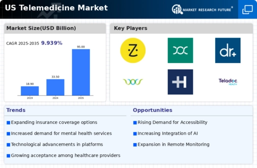 US Telemedicine Market Infographic