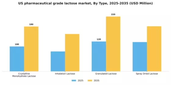 US Pharmaceutical Grade Lactose Market Segment Image 1