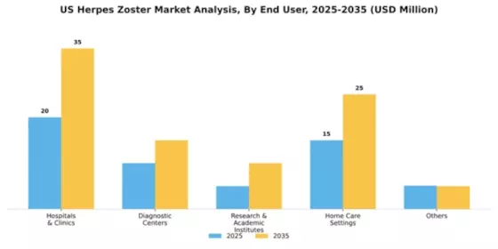 US Herpes Zoster Market Segment Image 1