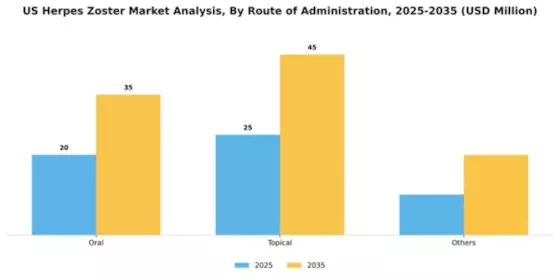 US Herpes Zoster Market Segment Image 2