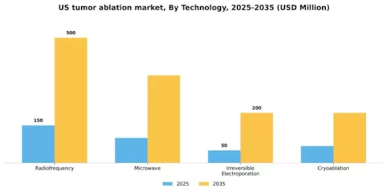 US Tumor Ablation Market Segment Image 2