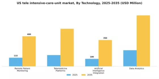 US Tele Intensive Care Unit Market Segment Image 3