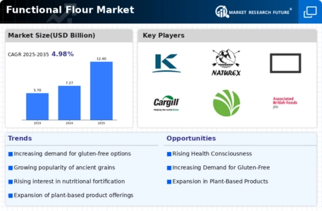 Functional Flour Market Infographic