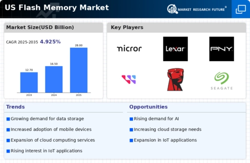 US Flash Memory Market Infographic