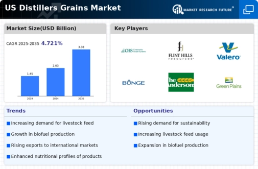 US Distillers Dried Grains Solubles Market Infographic
